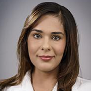 dvm
