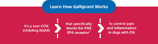 Galliprant