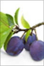 Nutritional Outlook