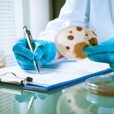 Pharmaceutical Technology Pii